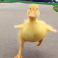 tik