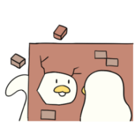 bonitaelice
